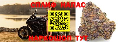 МДПВ Белореченск