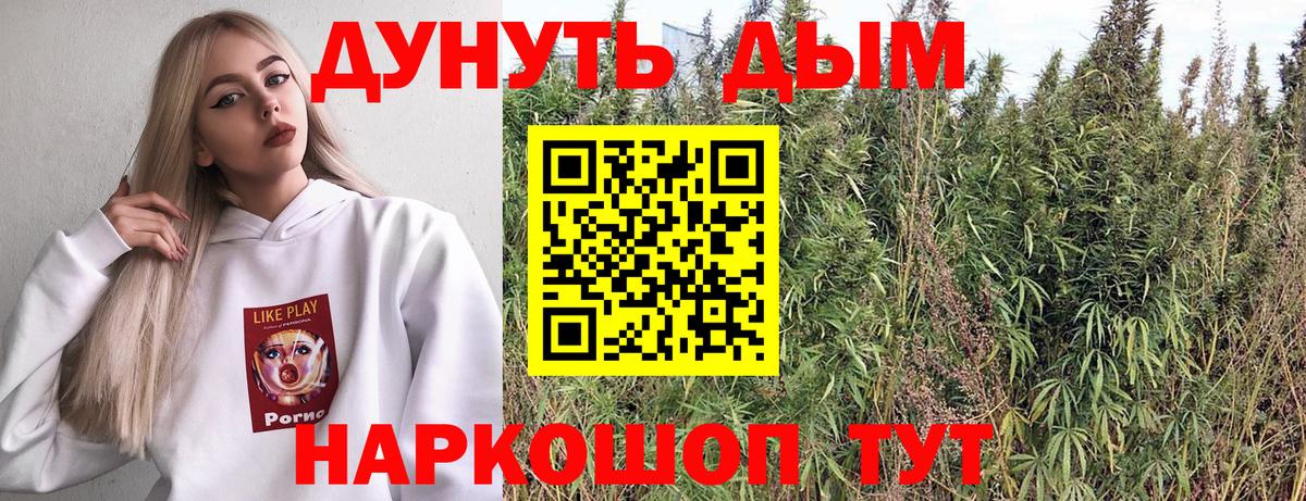 Зеленодольск  Каннабис OG Kush  Каннабис семена  Вход с VPN  Марихуана семена  Бошки марихуана MAZAR 